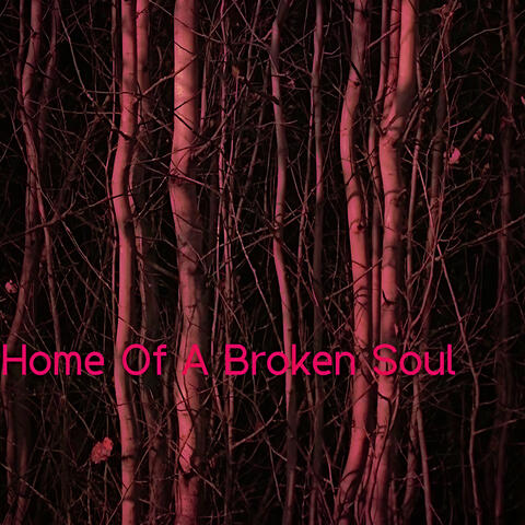 Home Of A Broken Soul