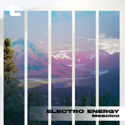 Electro Energy