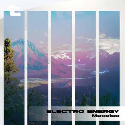 Electro Energy
