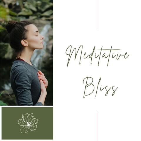 Meditative Bliss: Soothing Beats for Relaxation and Mindfulness