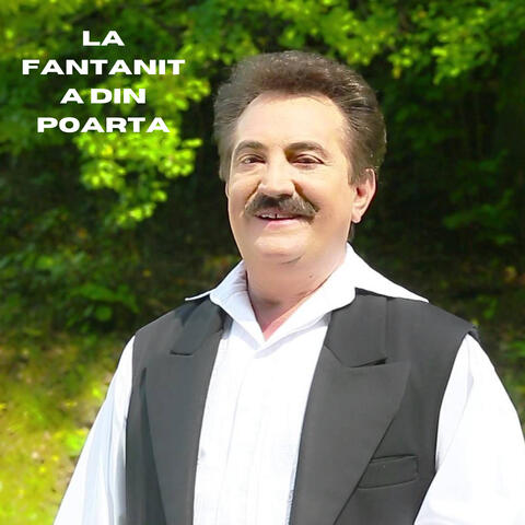 La fantanita din poarta