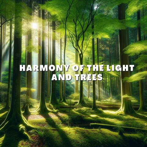 Harmony of the Light and Trees