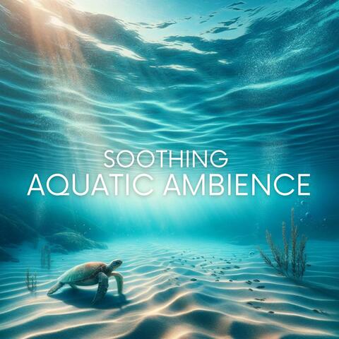 Soothing Aquatic Ambience
