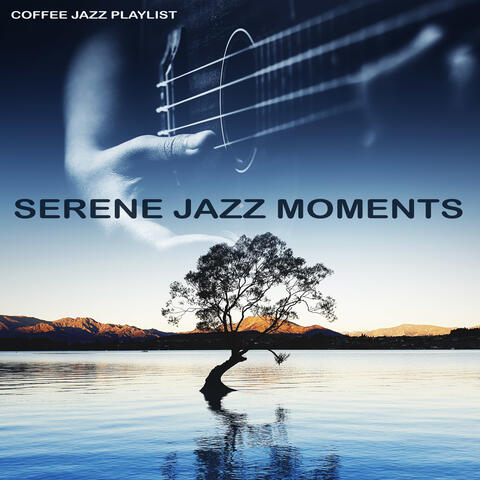 Serene Jazz Moments