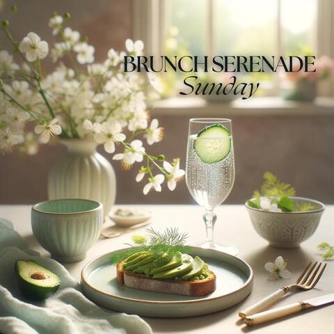 Sunday Brunch Serenade: Bossa Nova Delights for a Leisurely Morning