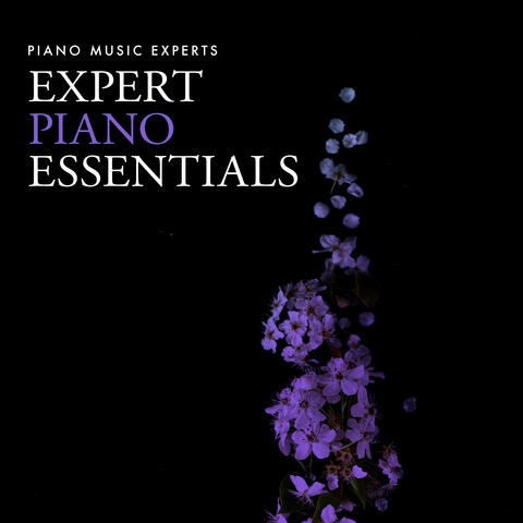 Expert Piano Essentials