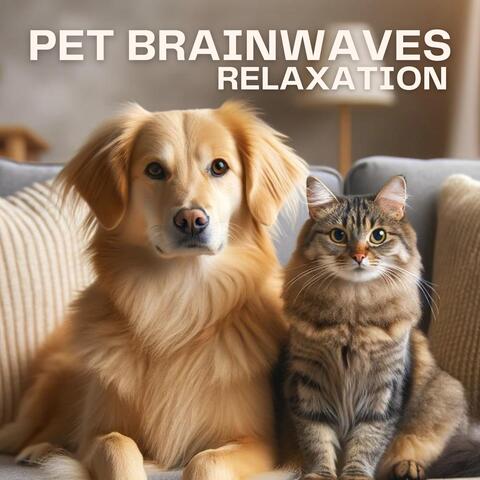 Pet Brainwaves Relaxation: Solfeggio Dogs Lullabies, Cat Meditation, Pets Stress Relief