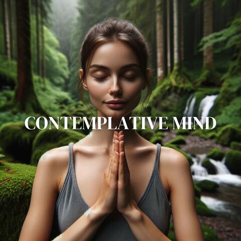 Contemplative Mind: Journey Through Moments of Contemplation and Spiritual Inspiration