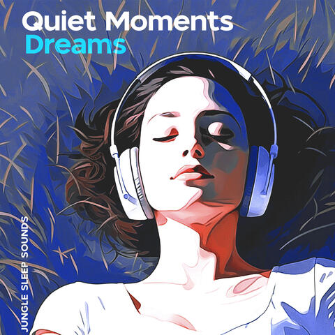 Quiet Moments Dreams
