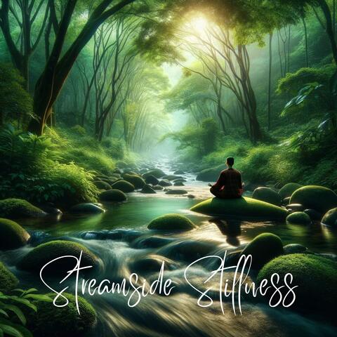 Streamside Stillness: Meditation Practice Amidst Nature's Stream