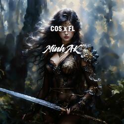 COS x FL