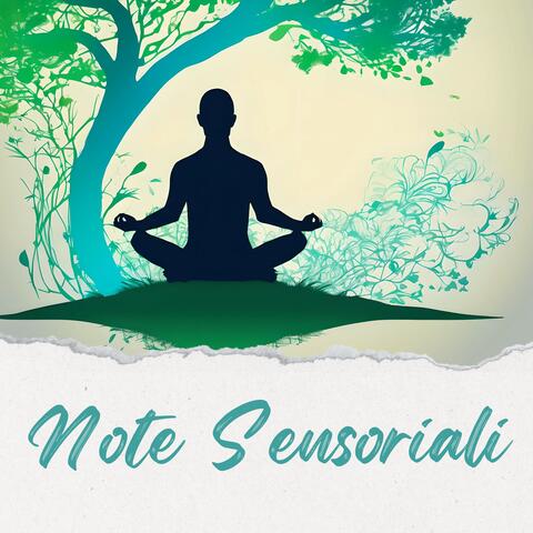 Note sensoriali: Una collezione di suoni ambient per la calma, rilassamento profondo, tecniche meditative e yoga