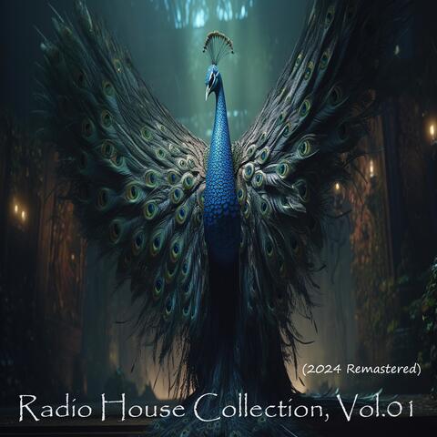 Radio House Collection, Vol. 01