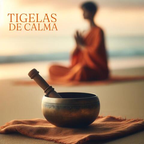 Tigelas de Calma: Terapia Sonora Tibetana para Limpeza do Corpo e da Mente
