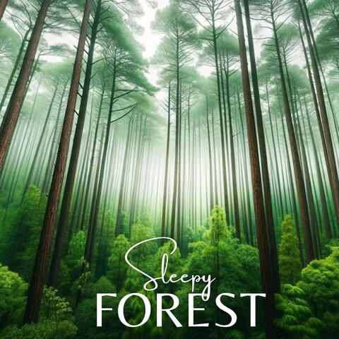 Sleeping Forest: Nature Ambience to Fall Asleep and Fight with Insomnia