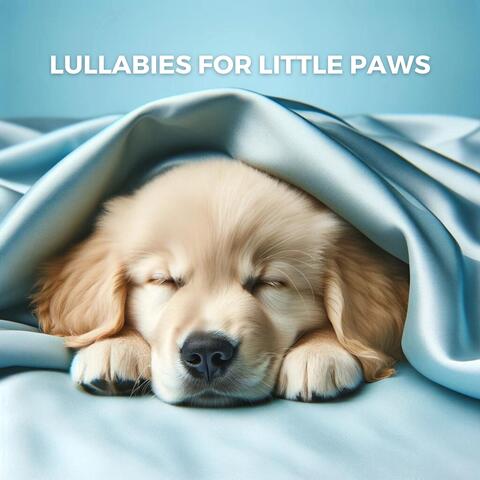 Lullabies for Little Paws: Soothing Melodies for Puppy Dreams