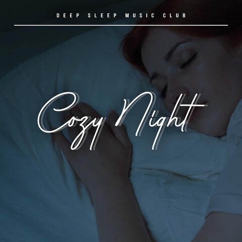 Cozy Night