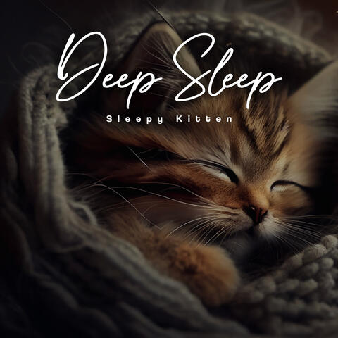 Deep Sleep