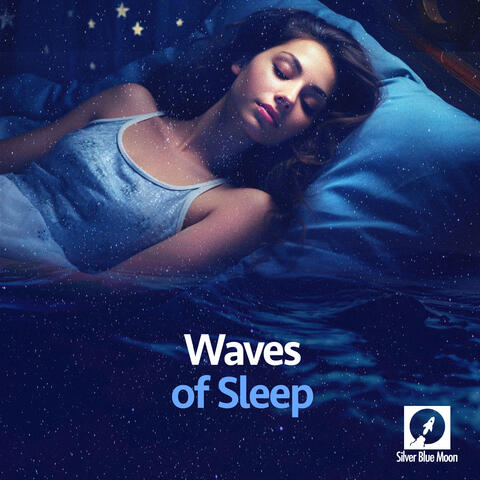 Waves of Sleep