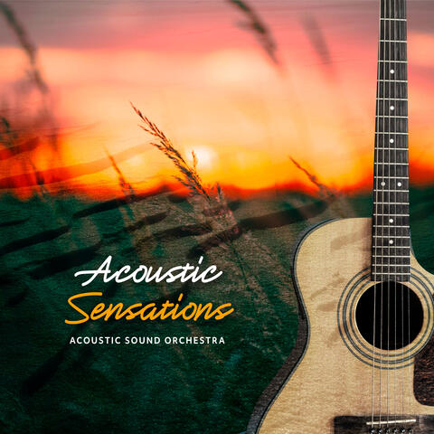 Acoustic Sensations