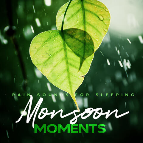 Monsoon Moments