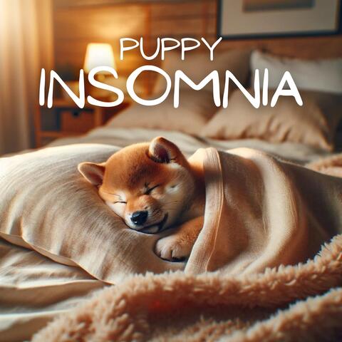 Puppy Insomnia: No More Whining Nights
