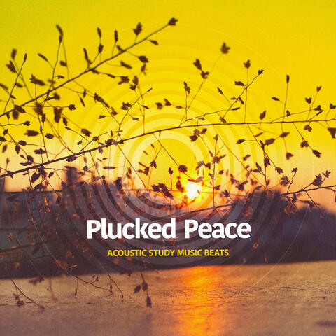Plucked Peace