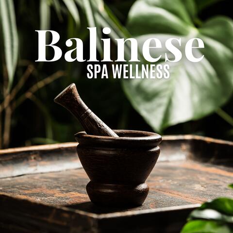 Balinese Spa Wellness: Tropical Chill Ambient Music for Exotic Massage