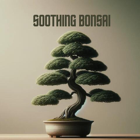 Soothing Bonsai: Endless Meditation for Cultivating Growth, Tranquility and Relaxation