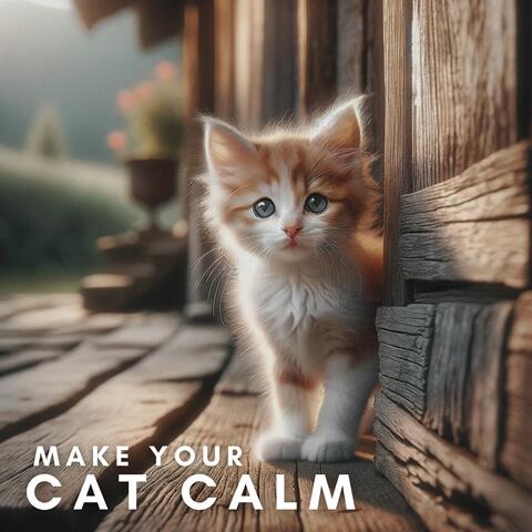 Make Your Cat Calm: Meditation Relaxation Sleep Music for Cats