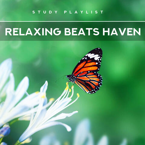 Relaxing Beats Haven