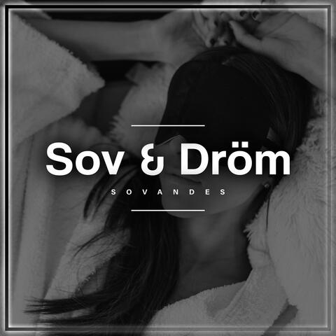 Sov & Dröm