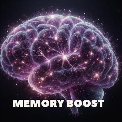 Memory Boost: Unlock Your Brain's Potential