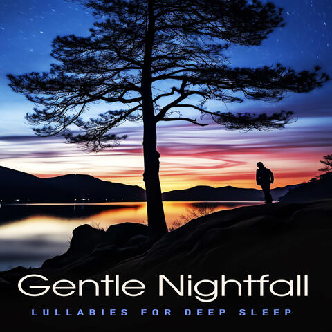 Gentle Nightfall