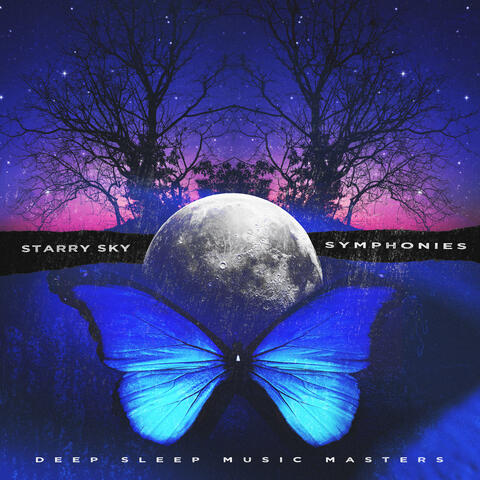Starry Sky Symphonies