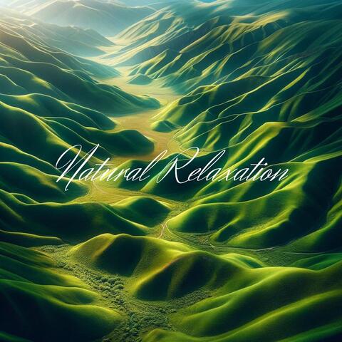 Natural Relaxation