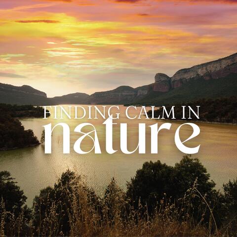 Finding Calm in Nature: Most Relaxing Nature Sounds for Relax, Sleep, Spa Massage