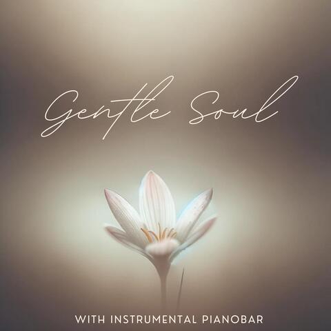 Gentle Soul with Instrumental Pianobar