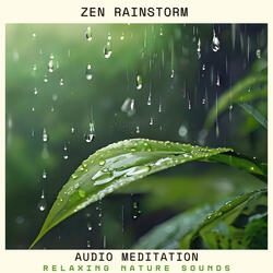 Zen Rainstorm
