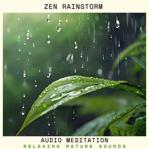 Zen Rainstorm