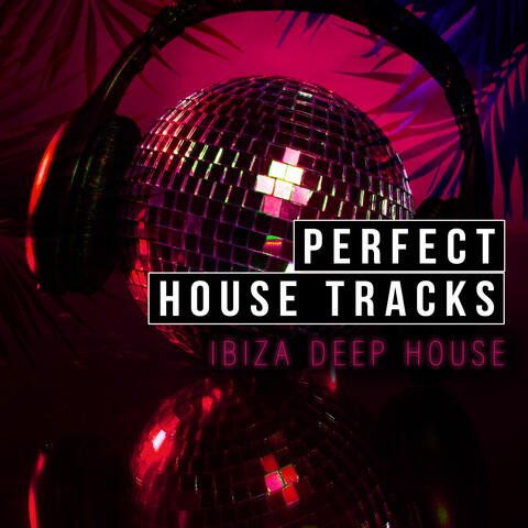 Perfect House Tracks