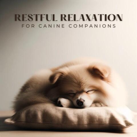 Restful Relaxation for Canine Companions