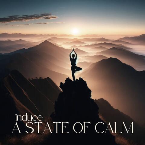 Induce a State of Calm: Mindfulness Meditation, Breathing Practice, Stress & Anxiety Reduction