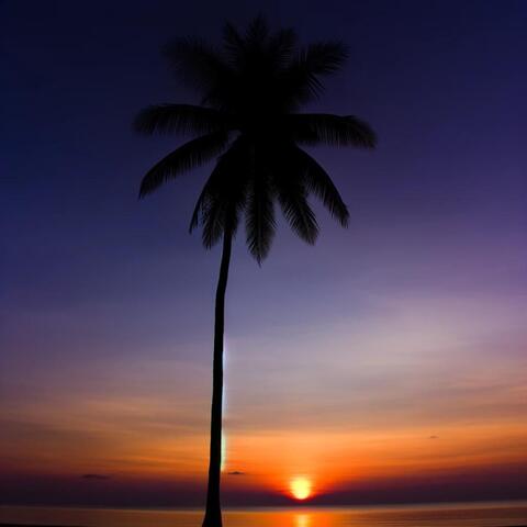 Brazilian Chill