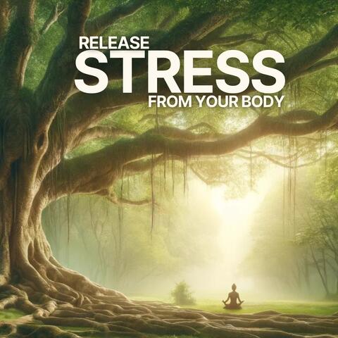 Release Stress from Your Body: Mindfulness Meditation Practice