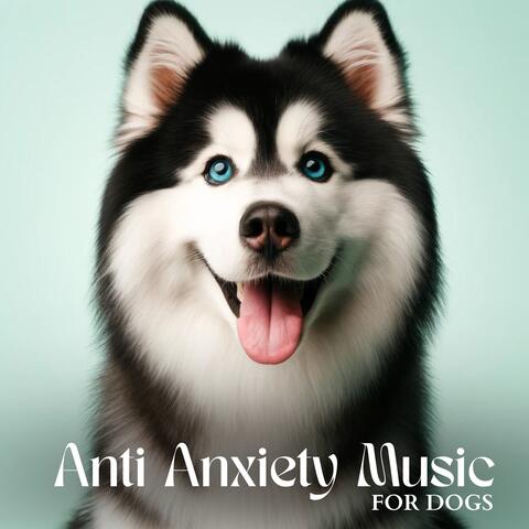 Anti Anxiety Music for Dogs: Sleep Dog Therapy, Calm Stress, Dog Relaxation