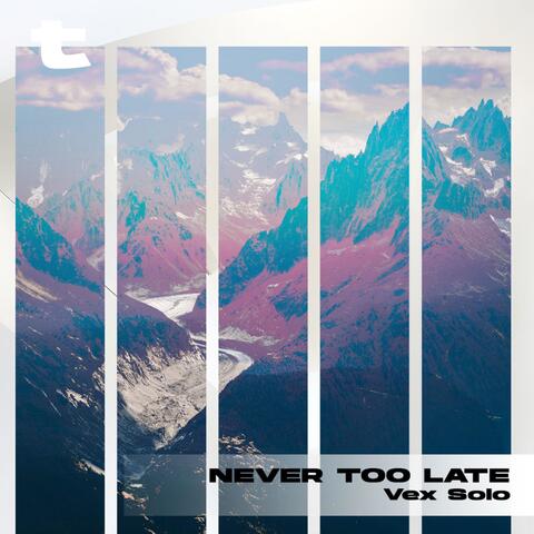 Never Too Late
