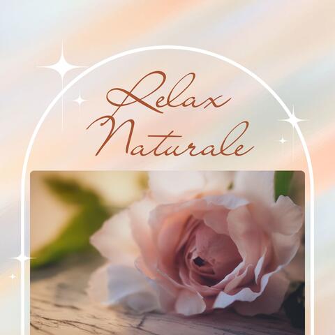 Relax naturale: suoni della natura per meditazione profonda