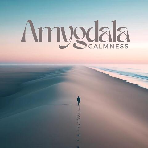 Amygdala Calmness: Cure Anxiety, Panic and Stress Attacks Naturally