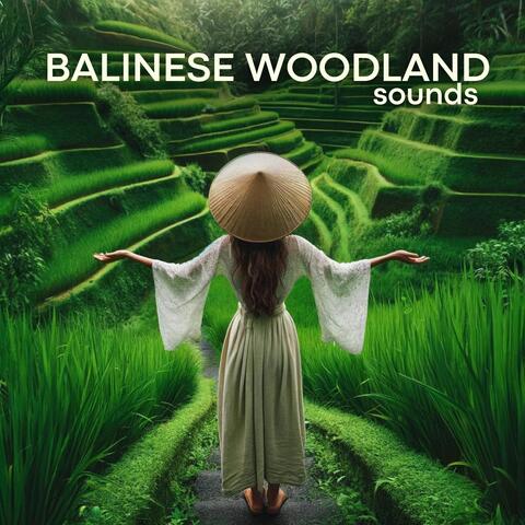 Balinese Woodland Sounds: Exotic Meditation, Bali Yoga Therapy, Forest Energy